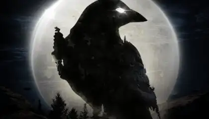 NIGHT CROWS