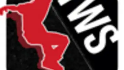 Transworld Endless Skater