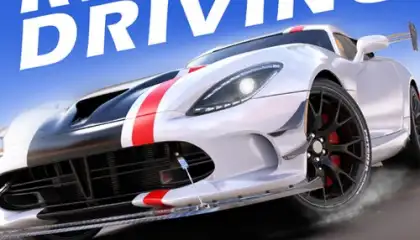 Real Driving 2